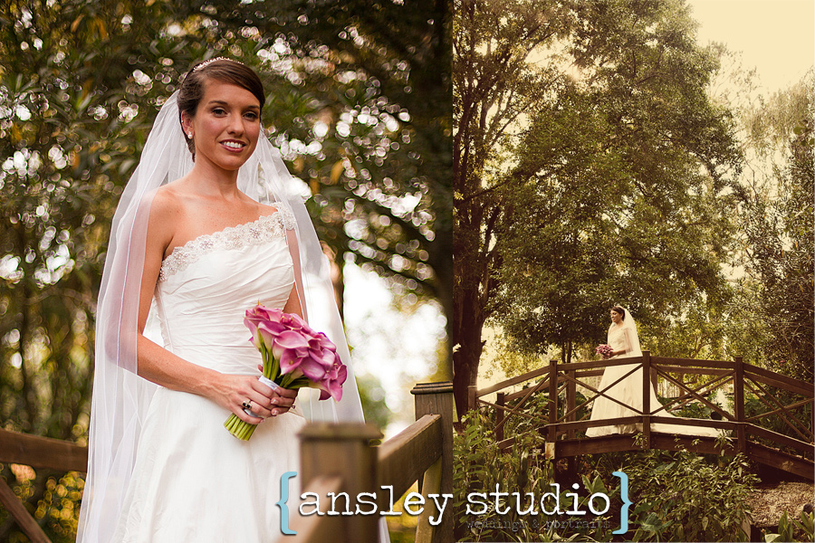 Ansley Studio: specializing in weddings & lifestyle portraits