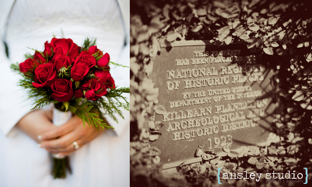 Ansley Studio: specializing in weddings & lifestyle portraits