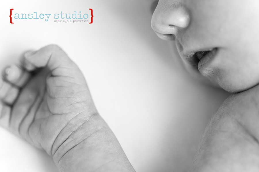 Ansley Studio: specializing in weddings & lifestyle portraits